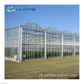 Multi-Span-Glas-Gewächshaus für Gemüsewachstum